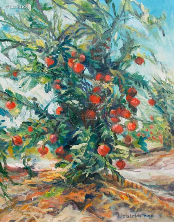 Pomegranate tree